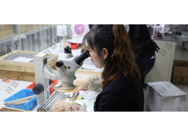 貼片共模電感方向如何區(qū)分你知道嗎？